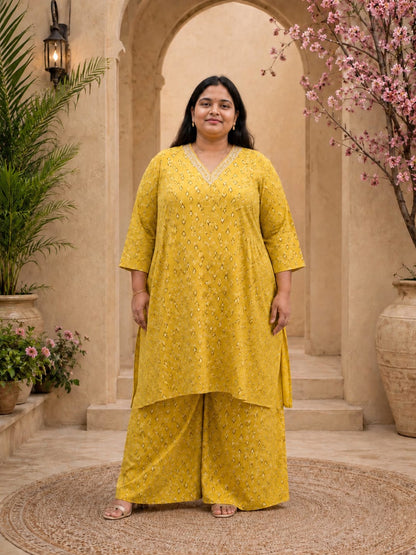 Plus Size Co ort set