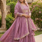 Plus Size Embroidered Gown - Vichitra Silk